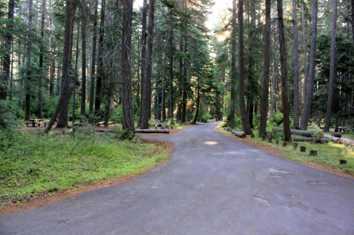 Camping in Washingtons Indian Creek Campground.